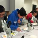 Local high school students learning about identifying and using beneficial insects for pest control.