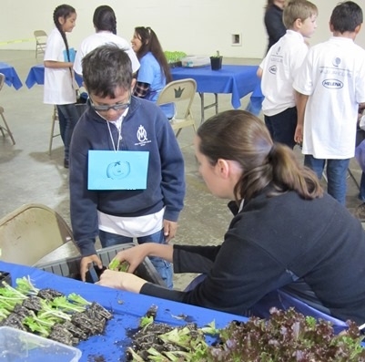 Kings County student planting lettuce with a volunteer.