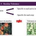 Pesticide residue tolerances are specific to each active ingredient and each crop.