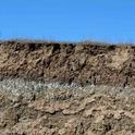 Figure 7. A calcic horizon about two feet below the surface; east of Paso Robles.