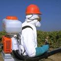 Applying the wrong amount of pesticide can result in poor control if not enough is used; too much being applied can lead to waste and possibly illegal usage.