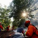 A CAL FIRE inmate crew fighting a wildfire in an avocado grove, May 2014. (Photo: Sandy Huffaker)