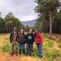 Visiting a fuel break. Adjacent pines have been thinned for resin collection. Members of the Mosaic Project Team and me. From Left to Right: Álvaro Gómez, Óscar Conejero, Fernando Pulido, and Devii Rao. Photo by Daniel George.