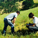 Elise GrasslandRestoration