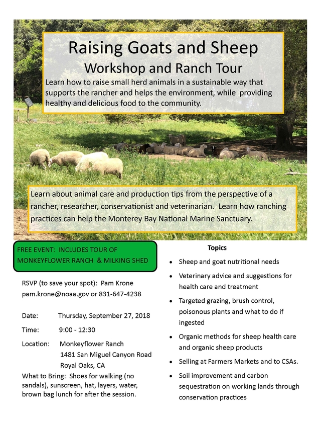 Sheep and Goat Workshop Flyer