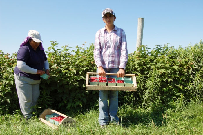 How Latin America Farmers Are Making the Most of Direct Sales to Consumers  - Inter-American Foundation