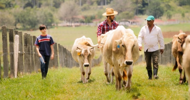 Usda-census-of-agriculture-latinx-farmowners-family