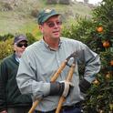 UCCE Farm Advisor Craig Kallsen explains how to properly prune a citrus tree.