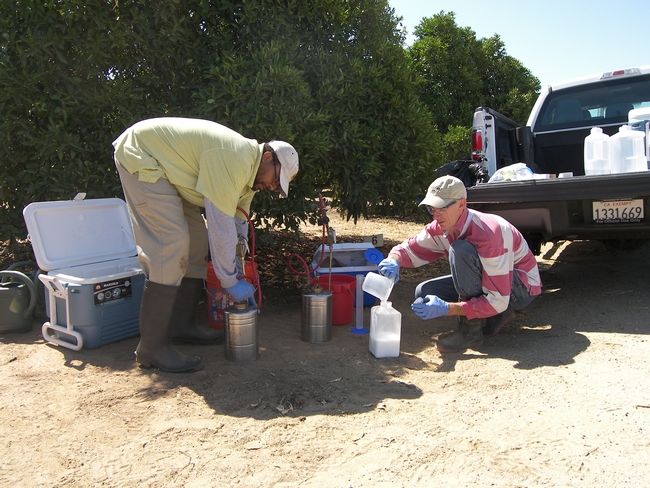 Richard Aubert and Frank Byrne mixing up a neonicotinoid trunk spray