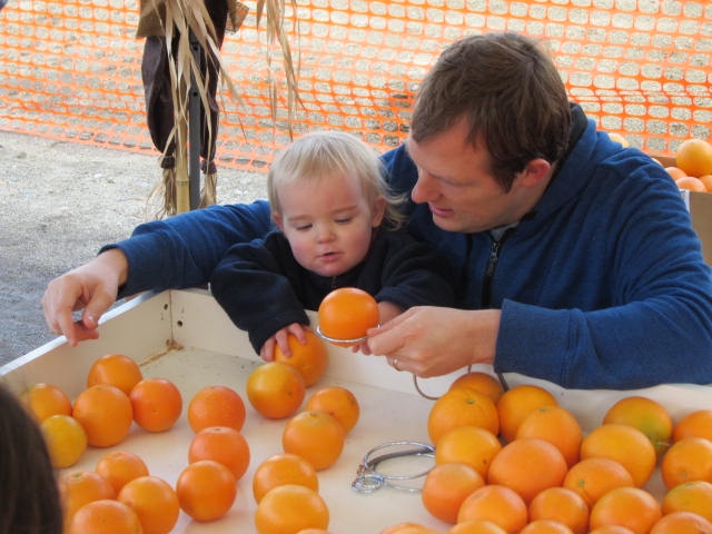 Parents and children learn about fruit sizing and packing through a fun hands-on acitivity.