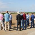 The Walnut and Almond Farm Advisor Training tour gathers around the new walnut rootstock observation trail at LREC