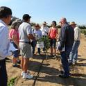 Carla teaches about the impact of earwigs on young trees