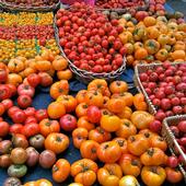 Farmers' Market Tomato