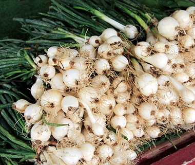 The 8 Best Foods to Buy at Farmers’ Markets - UC Master Gardeners of ...