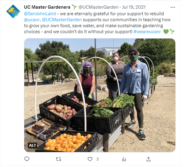 Tweet screenshot of volunteer activity with food gardening.