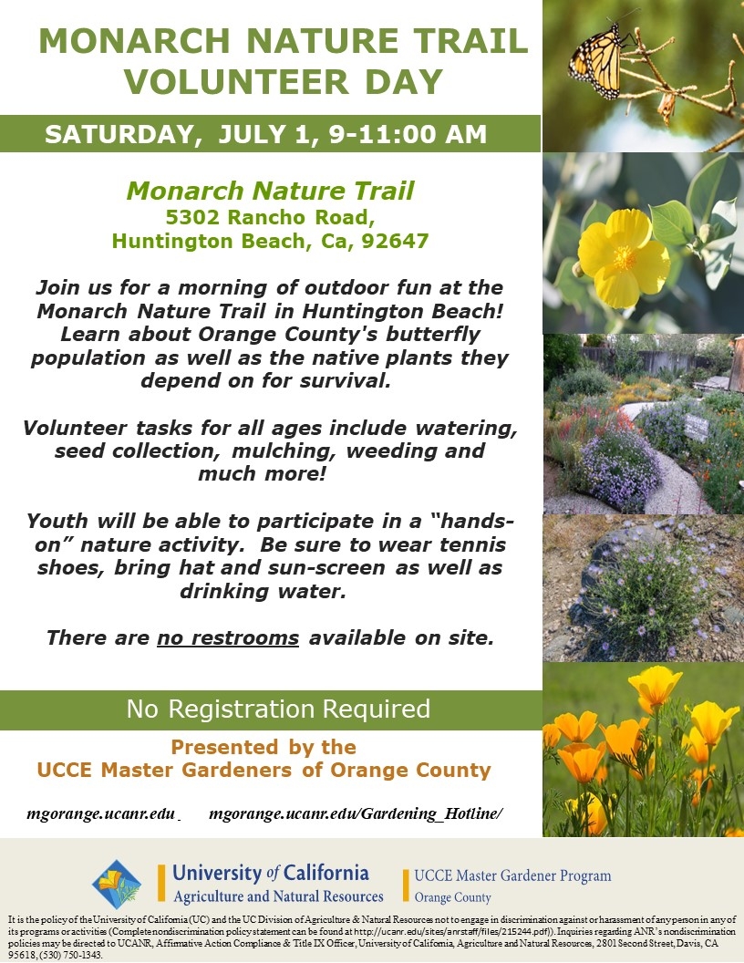 Join Us For A Morning With Orange County's Butterfly Population - UCCE ...