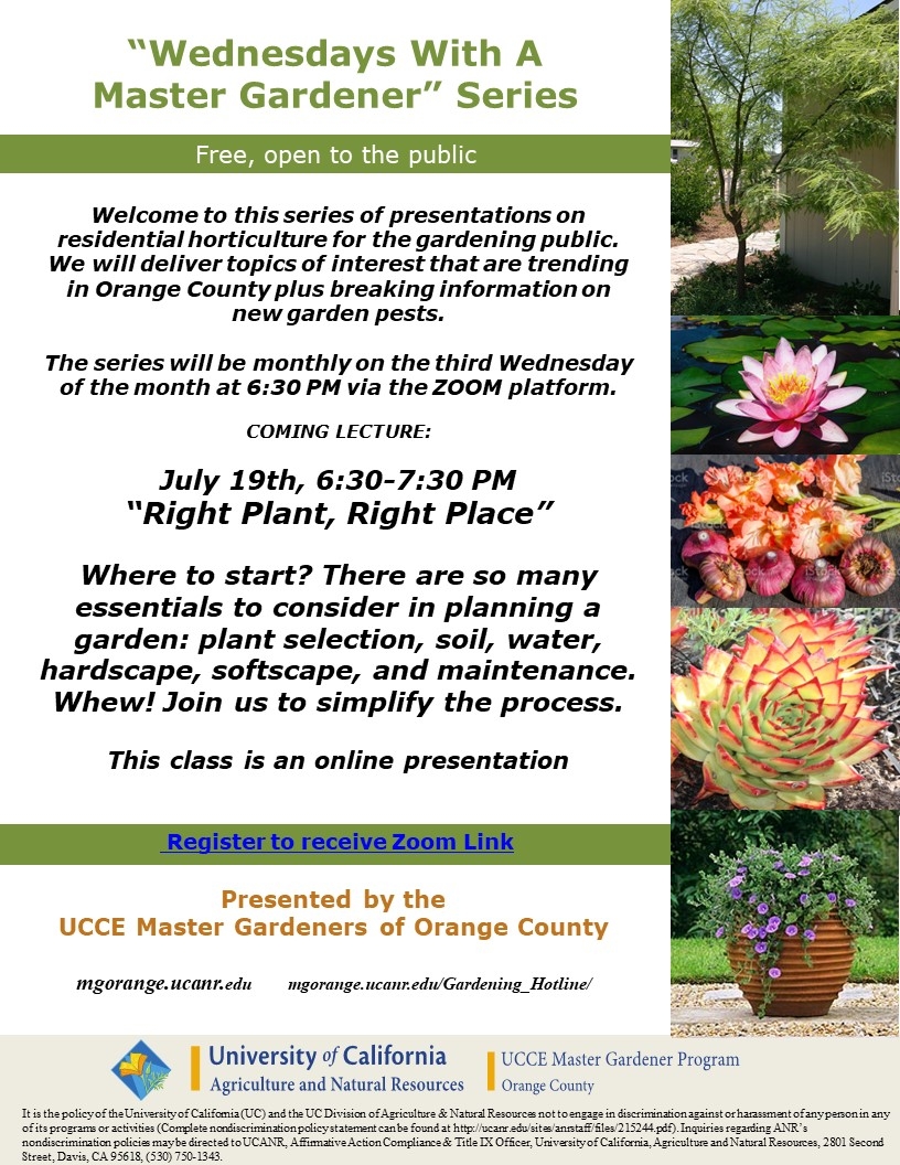 Planning a Garden? Start Here: Join Our Free Zoom Event - UCCE MG OC ...