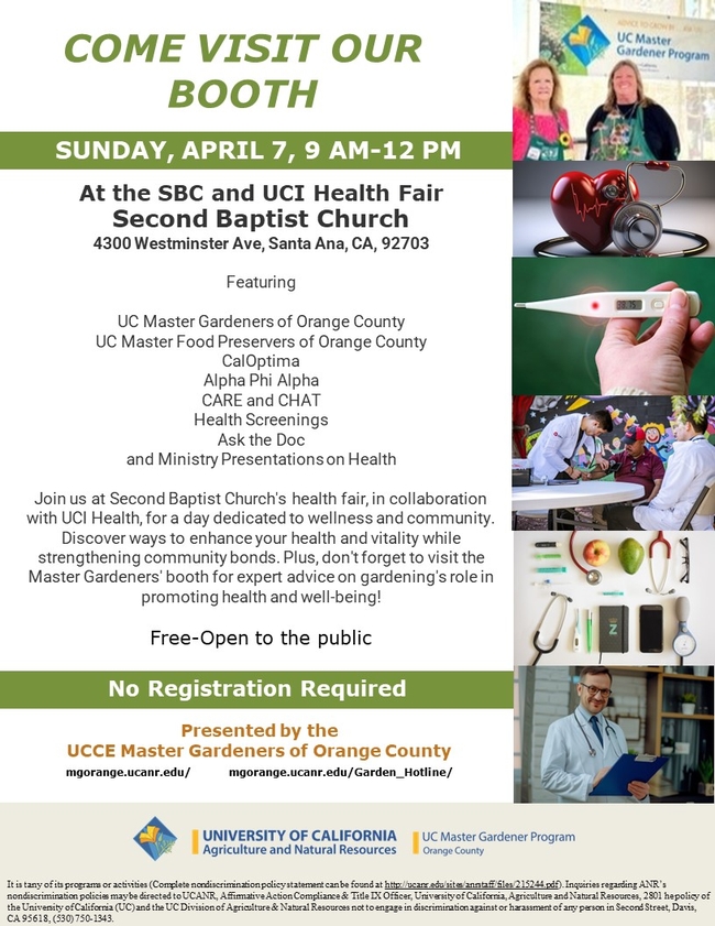 Empower Your Health: Don't Miss Second Baptist Church's Health Fair