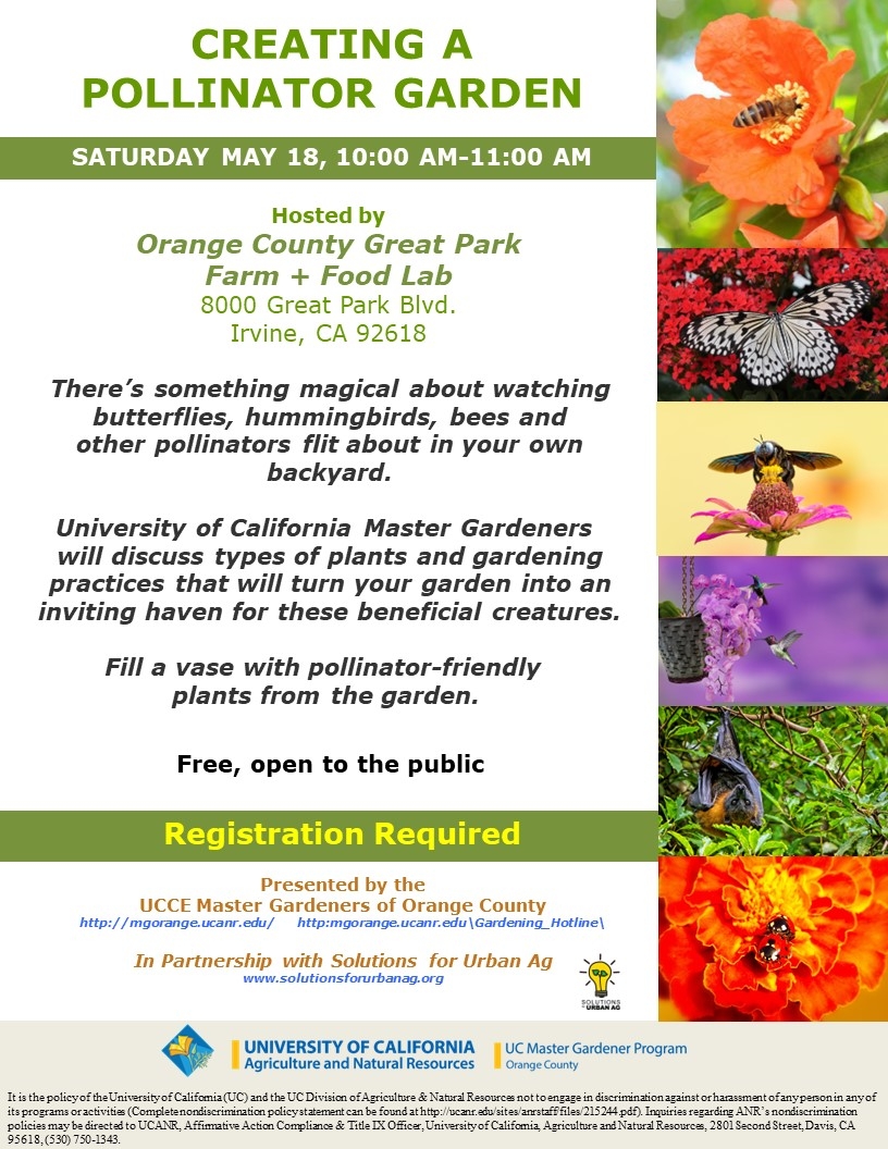 Transform Your Garden: Join Us for Pollinator Paradise - UCCE MG OC ...