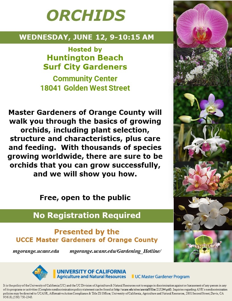 Discover the Beauty of Orchids: Join Our Growing Basics Workshop - UCCE ...