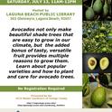 07-13-24-Avocados-LagBch