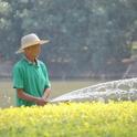 man-watering