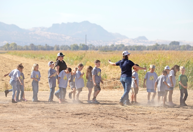 This is the second year of Ricestastic, an event where children learn more about the rice grown in the Sacramento Valley. Photo: Evett Kilmartin