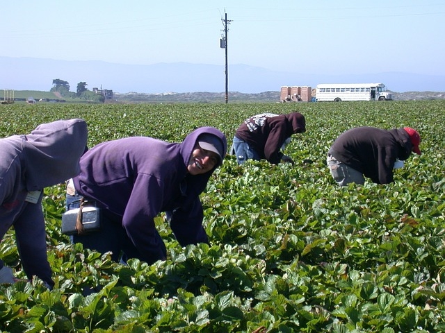 Farmworkers