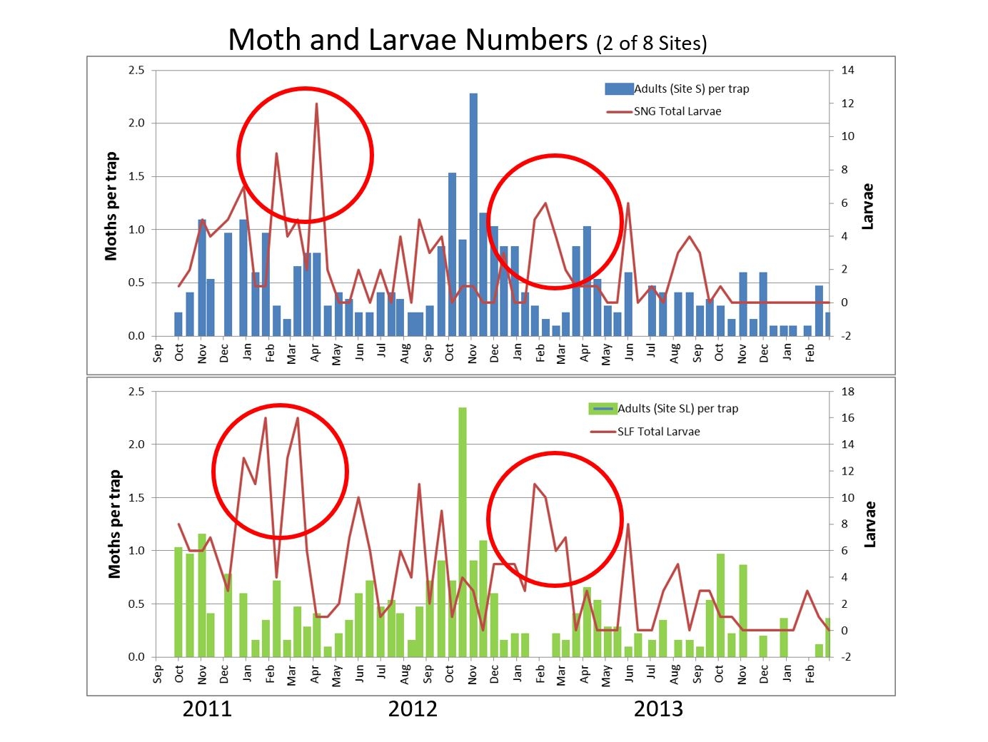 Light Brown Apple Moth and Targeting Vulnerable Young Larvae - Nursery ...