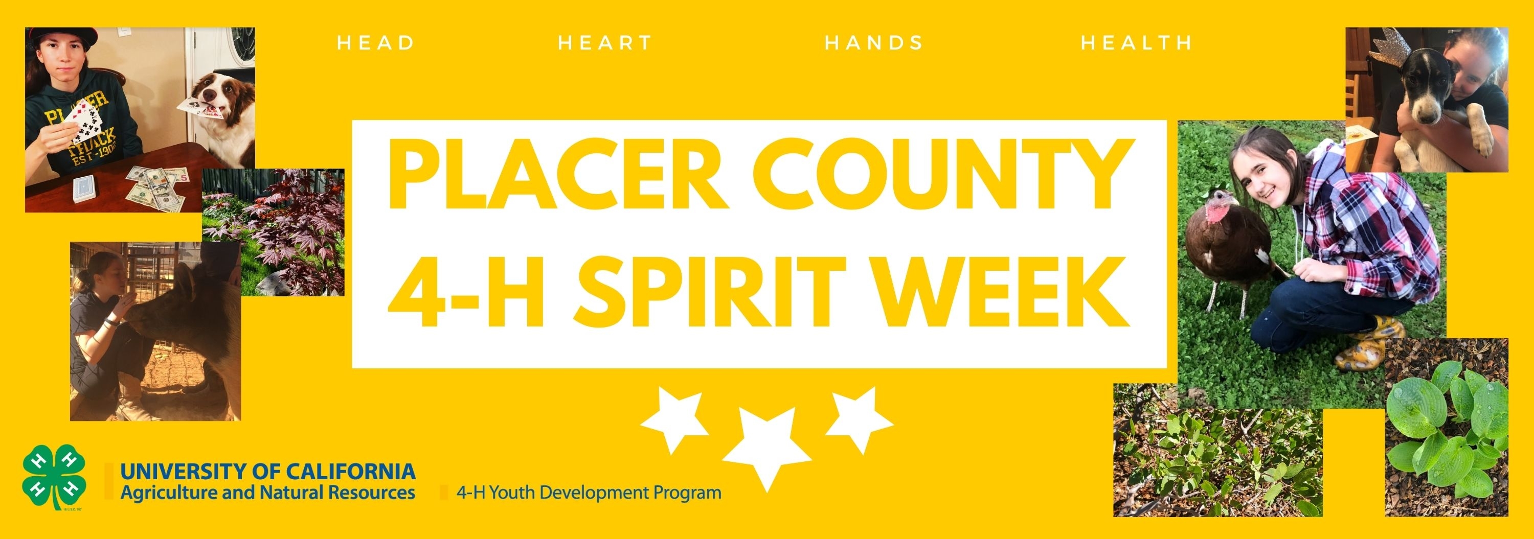 Placer County 4-H Spirit Week - Placer/Nevada 4-H Blog - ANR Blogs