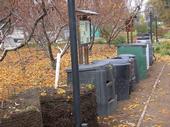 Compost Bins-Garden of the Sun