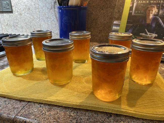 Martha apricot jam 1