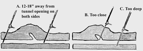 Figure 3. A)  Correct application method  requires  that 
bait be placed  on  both  sides  of  tunnel  opening 12-18”  
away.   B&C)  Poor application methods  encourage
gophers to seal the burrow.