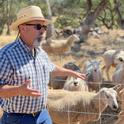 Dan Macon discussing sheep management during the 2022 Cattle and Sheep Grazing School in Auburn, CA