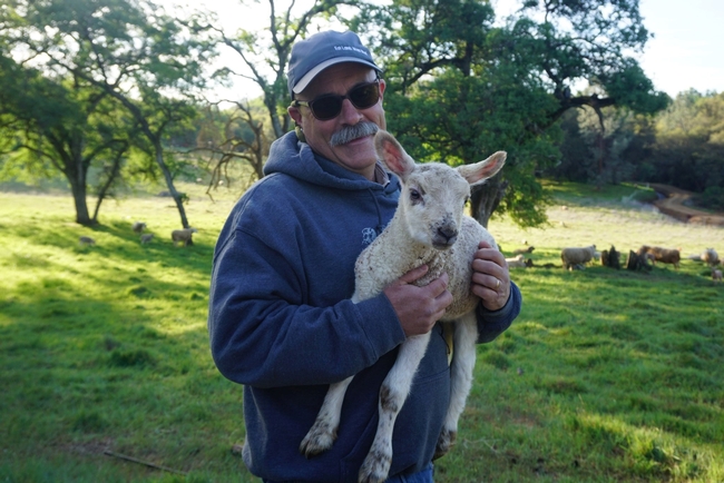 Dan Macon holding a lamb.