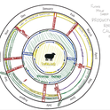 An ecological calendar combines ranch-specific ecological and climate conditions with production and economic considerations.