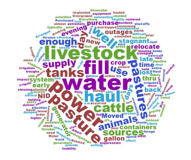 A word cloud image of comments from ranchers. The larger the word, the more frequently it appeared in comments.