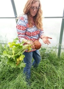San Bernardino County Master Meredith Hergenrader showing golden beets that she grew in her greenhouse.
