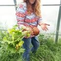 San Bernardino County Master Meredith Hergenrader  showing golden beets that she grew in her greenhouse.