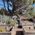 Jackie Lacey in the vegetable garden