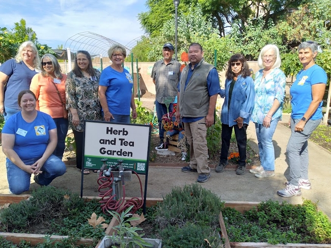 Master Gardeners are here to help