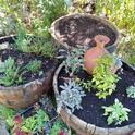 garden containers