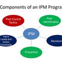 IPM Components