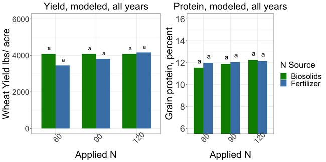 Yield and Protein Modeled