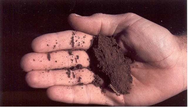 sandy clay loam 25-50 percent moisture