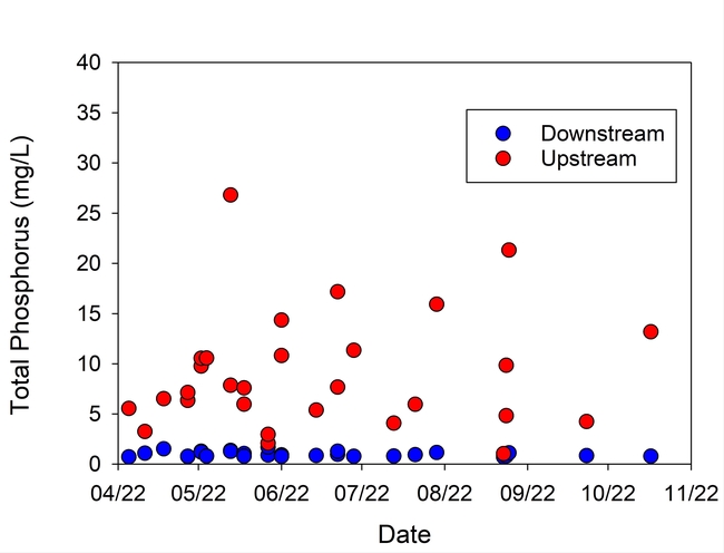 Figure 6. Total phosphorus in irrigation runoff upstream and downstream of the PAM ditch applicators sampled from April – October 2022.