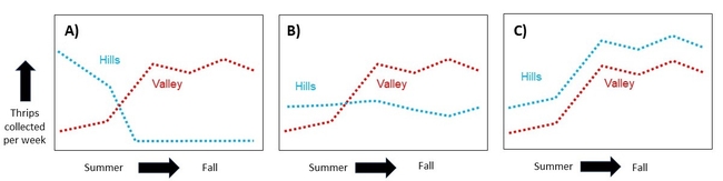 Three x-y plots demonstrating hypothetical results of the experiment. The first plot shows the hypothesized results (valley counts go up as hill counts go down); the second plot show valley counts going up while hill counts stay constant over time; the third plot shows the hill counts going up in parallel to the valley counts