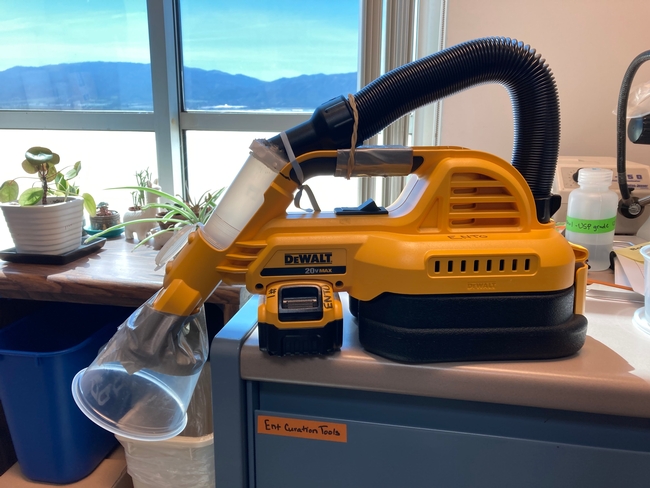 An image of a hand-held vacuum cleaner that has been modified to hold an insect collection vial