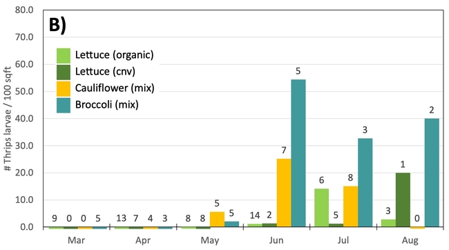 Figure 5. Density of A) adult and B) larval western flower thrips collected from lettuce, broccoli, and cauliflower transplants from March 2023 through early August 2023. The number of samples is listed above each bar.