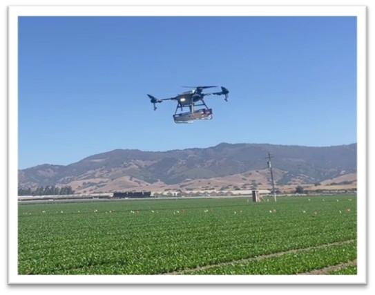 In-field drone release of green lacewing eggs and predatory mites